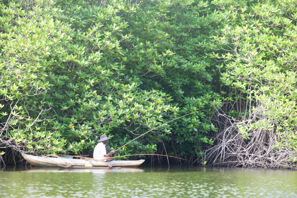 Balapitiya Fishing Odyssey