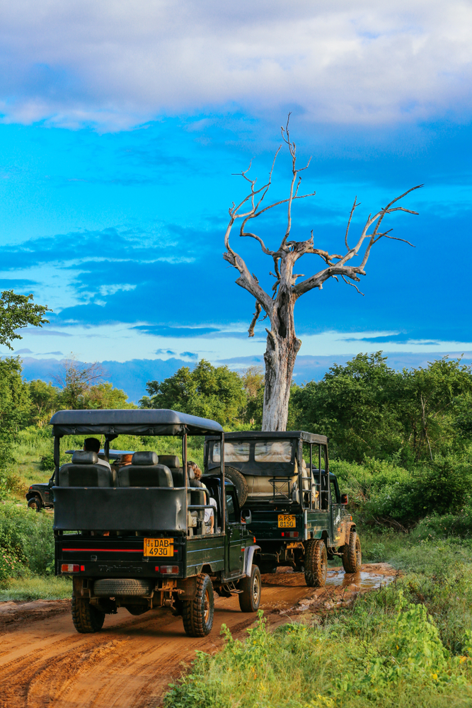 Udawalawe National Park