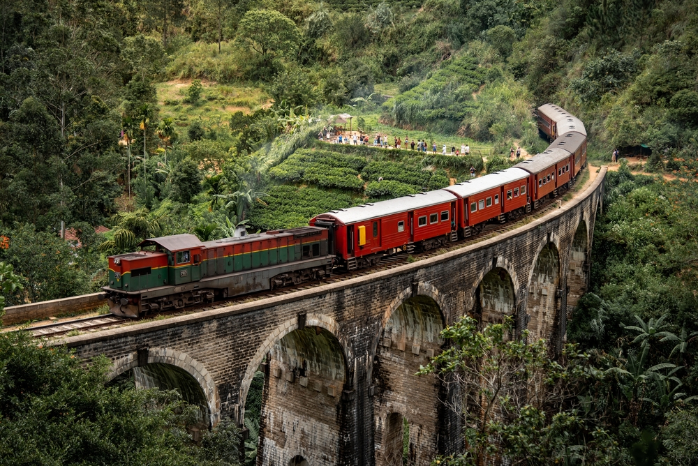 Serene Train Journeys