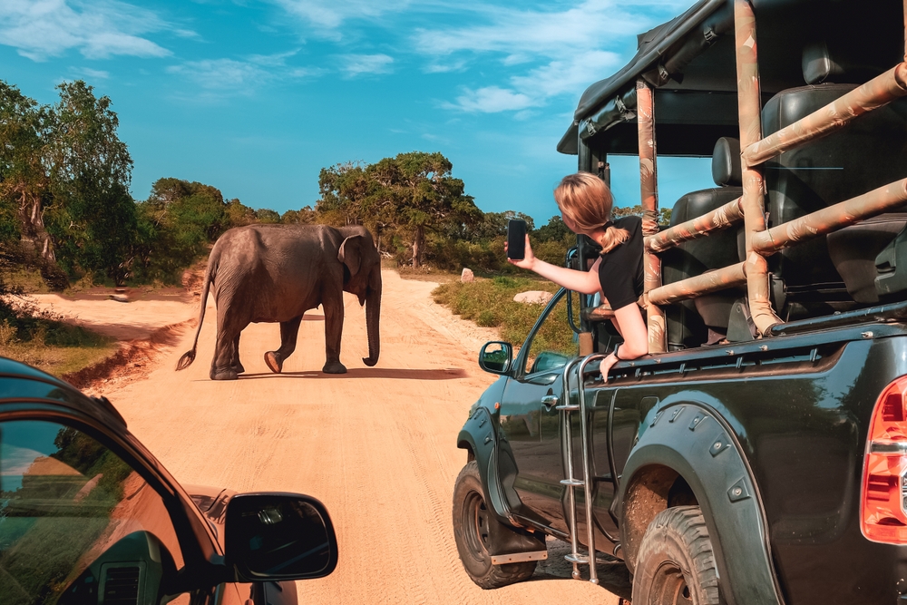 Custom Adventure Trips