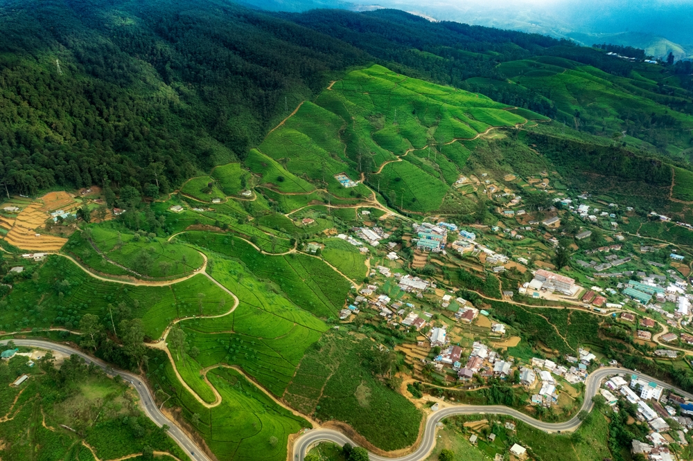 Nuwara Eliya
